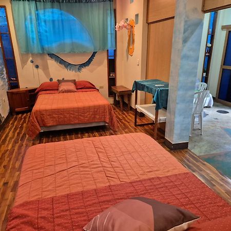 Cozy Hosting Galapagos Apartment Puerto Ayora  Luaran gambar